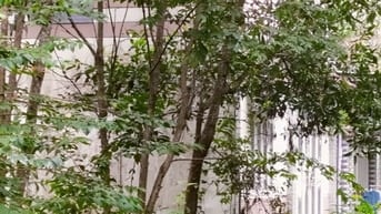 Chính chủ bán đất thổ cư, 1 sẹc Tỉnh Lộ 7, xã An Nhơn Tây, Củ Chi