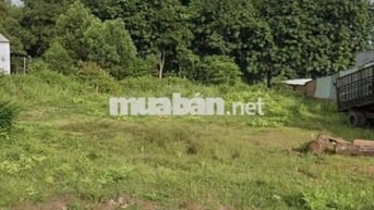 Chủ gửi lô đất giá rẻ gần chợ An Linh SHR công chứng ngay