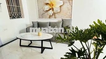 Bán nhà Tân Mai 30m2, 3 ngủ - ngõ thông 10m ra ô tô, giá 3.9 tỷ