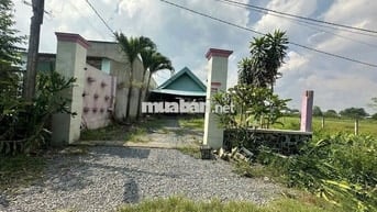 BÁN ĐẤT 8.2X37M THỔ CƯ 100%, KHU BIỆT THỰ, GẦN TỈNH LỘ 9, SỔ HỐNG SẴN