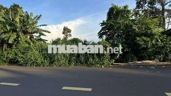 🌟 MẶT TIỀN ĐƯỜNG A5 (10x25M) THÔNG KHU TRUNG NGUYÊN NGUYỄN ĐÌNH CHIỂU🌟