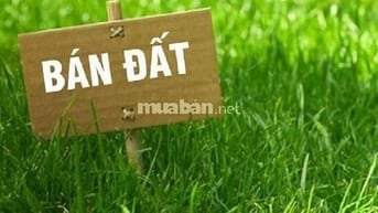 Bán đất Thọ Xuân, Đan Phượng, Hà Nội, 4,5x12m, nở hậu 4,88m vị trí đẹp