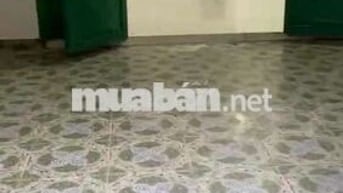 🏠 Nhà mới sơn phết 2️⃣ phòng, Tân Xuân 6,Trung Mỹ Tân Xuân 🏠