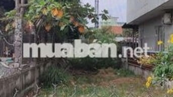 Bán gấp lô đất Liêu Bình Hương 200m2 giá chỉ 1 tỷ 1