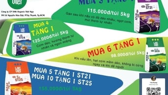 GẠO LẠC VIỆT – ƯU ĐÃI LỚN CHO BẾP ĂN & QUÁN CƠM