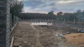 Chủ bán đất gần trường tiểu học Lai Hưng B ( Bến Tượng Bầu Bàng