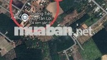 Đất ngộp bán gấp lô đất 400m2(12*32) 200m2 TC giá 550tr tại Đồng Phú