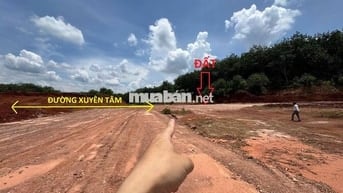 Ngay góc Ngã Tư với Tuyến 4 - từ Tuyến 4 tới đất đúng 80 mét