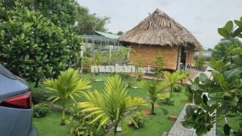 Đất vườn 1200m2 ngay trung tâm Gò Dầu, SHR, dân cư đông đúc, giá 1 tỷ