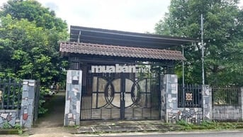 Nhà vườn Bảo Lộc hẻm nhựa 2 oto lữ Gia DT:480m2 (12x40m) - Thổ cư 200m