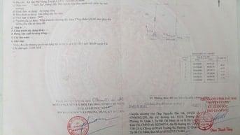 Sang nhượng đất trồng cây lâu năm ở xã Tân Phú Trung, huyện Củ Chi.