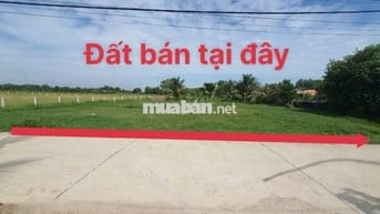 🏡 Đất 1034m² Phước Thạnh – có 300m² thổ, QHKDC xây ngay, giá 3.6 t