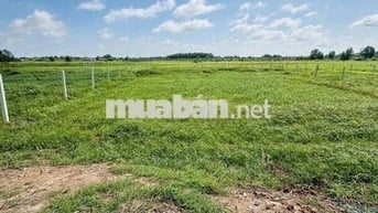 Đất 917m2 gần Uỷ ban xã Trung Lập Hạ, SHR, dân cư đông, giá 1,6 tỷ