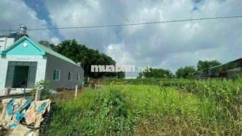 Đất Tân An TDM Bình Dương đường 4m nhánh Huỳnh Thị Hiếu.nở hậu 13,9m