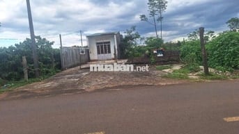 820trieu sở hữu nhà câp 4. Dt :10 x81 :50tc có nhà cấp 4