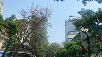 Phố Cổ - Cho thuê MP NGUYỄN HỮU HUÂN 85m2 45tr vào ngay