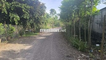 Bán đất Phú Vinh ( ấp 4, Xã Phú Tân cũ) Định Quán, Đồng Nai