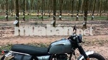 Xe brixton chạy ngon và đẹp hoài cổ