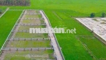 Đất vườn đẹp tại thị trấn Gò Dầu Tây Ninh 1050m2 giá 1 tỷ1