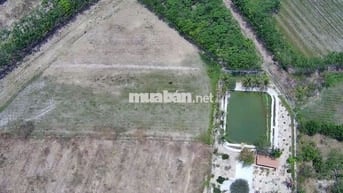 Bán gấp lô đất vườn 1500m2 có thổ cư hơn 100m2 đang làm nhà vườn