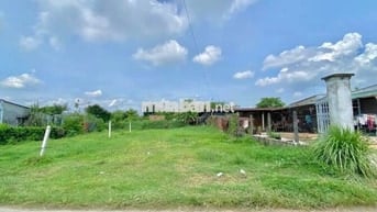 🌿 Bán đất vườn Gò Dầu – 1150m²  – Giá rẻ như cho, chỉ 920 triệu!