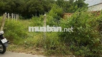 🏡 BÁN ĐẤT MẶT TIỀN ĐƯỜNG DX124