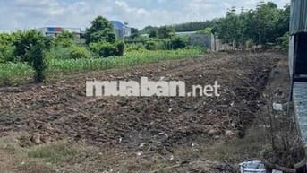 MT DH509 từ DT741 vào 8km cần sang lô đất ngang 7m giá rẻ