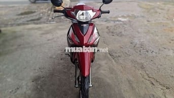 FU NEO HÀN QUỐC .BS 61 CÀ VẸT ĐẦY ĐỦ