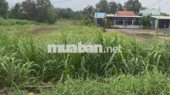 chính chủ cần bán đất mặt tiền đường T12 Bình Chánh