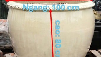 chậu hoa trồng mai hoặc bon sai