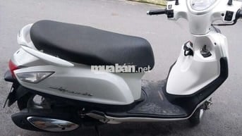 Grande fi zin bstp chứng giấy