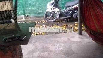 Xem xe. bình dương vòng xoay An Phú