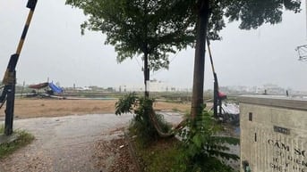 HXH Lê Đức Thọ - Đất Trống 4 x 19 - Full Thổ Cư - 7 Tỷ hơn TL