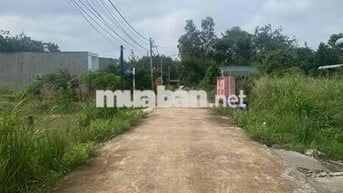 Chính chủ bán đất sổ sẵn 270m2, Lai Hưng, Bàu Bàng, ngay KCN Mỹ Phước