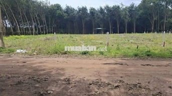 Có Lô Đất Mặt Tiền Đường Đất Cần Bán