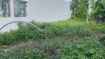 🌿 BÁN ĐẤT ẤP CÂY DA – TÂN PHÚ TRUNG, CỦ CHI 🌿