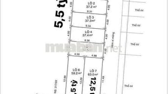 ĐẤT PHÂN LÔ CHÍNH CHỦ 317  P11