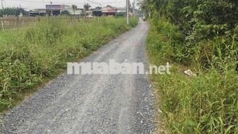 Bán đất Long An - Nhận kí gửi, tìm mua đất