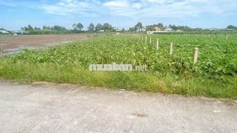 Tôi cần tiền cần bán gấp, giá rẻ nhất khu vực.