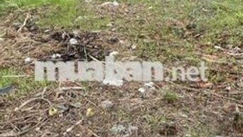 Đất Mặt tiền Huỳnh Văn Luỹ 14x60m. gần thành phố mới