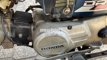 bán dream 1 zin, không đề