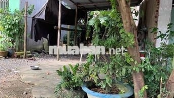 chủ gửi bán lô đất mặt tiền đường quách thị trang kinh doanh tốt