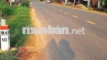 Cần Bán Đất Ngay Chợ Hảo Đước 12x88 Giá 2T8xx