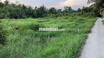 Đất đẹp gần kcn an hiệp châu thành bến tre