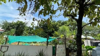 Bán Đất nền thổ cư, Đường Đồng văn cống, Q2 kế bên đảo Kim cương