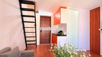 Tập thể Lê Gia Đỉnh 2 thoáng, ô tô đỗ, 2 ngủ, SĐCC, tặng nội thất 50m2