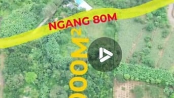Gần 11.000m2 đất, 80m mặt tiền lớn, hông ôm suối