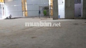Cho thuê xưởng đường TTH21. Phường TTH. Quận 12