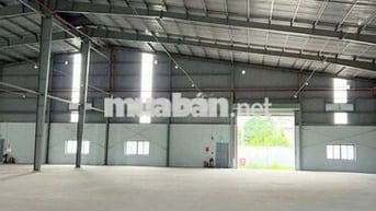 CHO  THUÊ  KHO  XƯỞNG ( 1000m2) PHƯỜNG  HIỆP  TÂN. QUẬN  TÂN  PHÚ