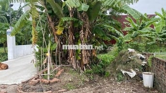 Đất 130m2 ngang 5m nở hậu MT đường 7m Trang Quan, An Đồng